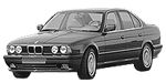 BMW E34 P0A1F Fault Code